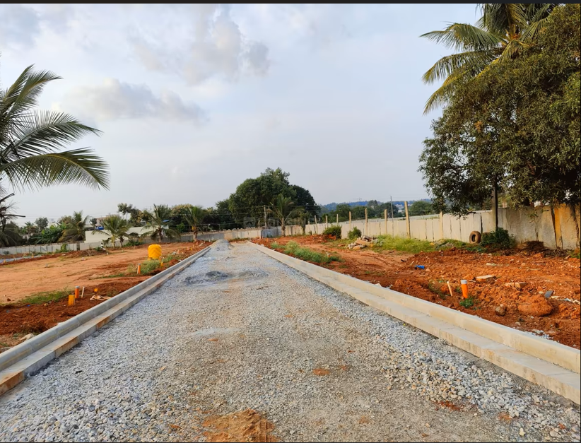 CENTRAL AVENUE PHASE II